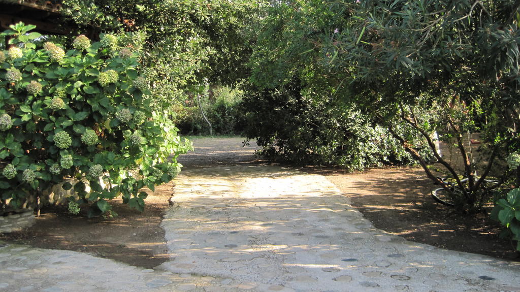 Hotel Akamatis Giorgos Therma  Exterior foto