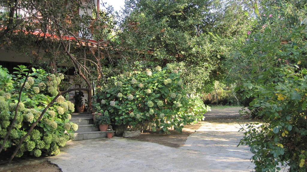 Hotel Akamatis Giorgos Therma  Exterior foto